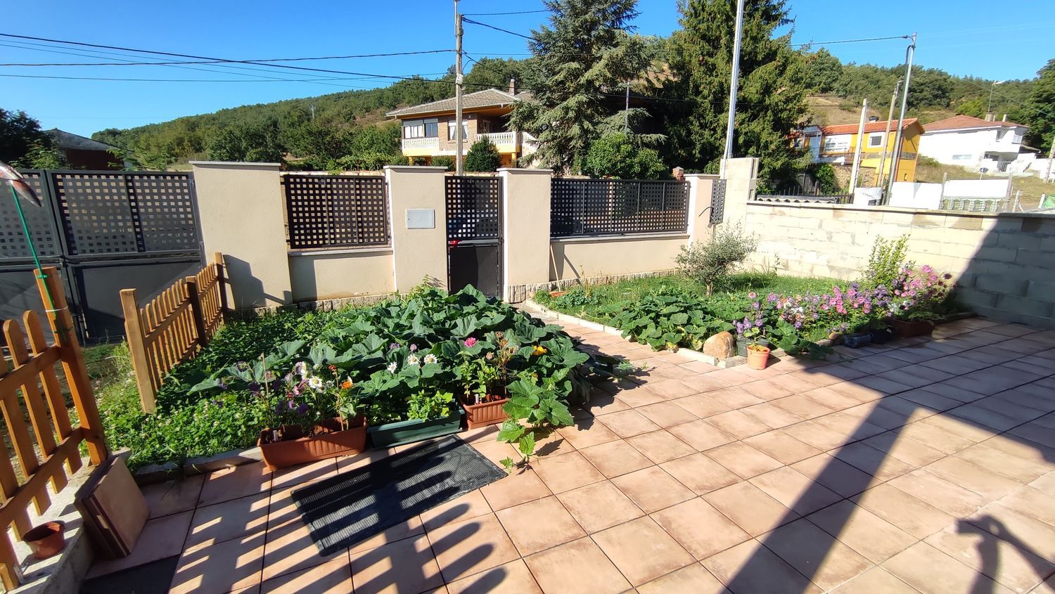 Casa o chalet independiente en Calle Crescencio Fernández s/n - Foto 10