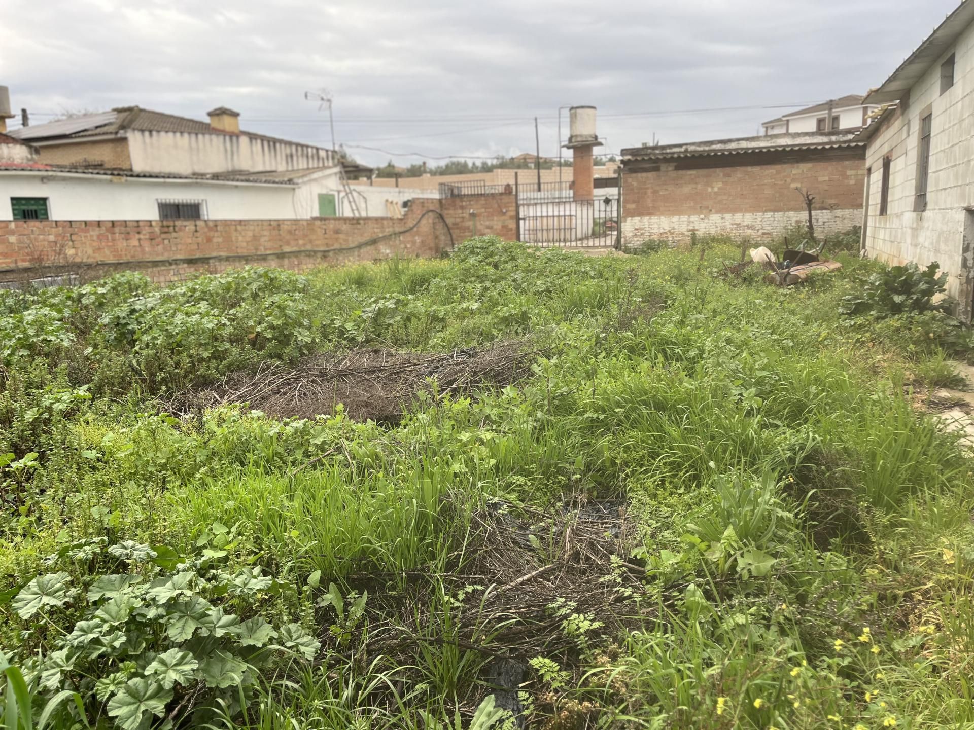 Finca rústica en  Urbanizacion Campiñuela Baja 6 - Foto 17