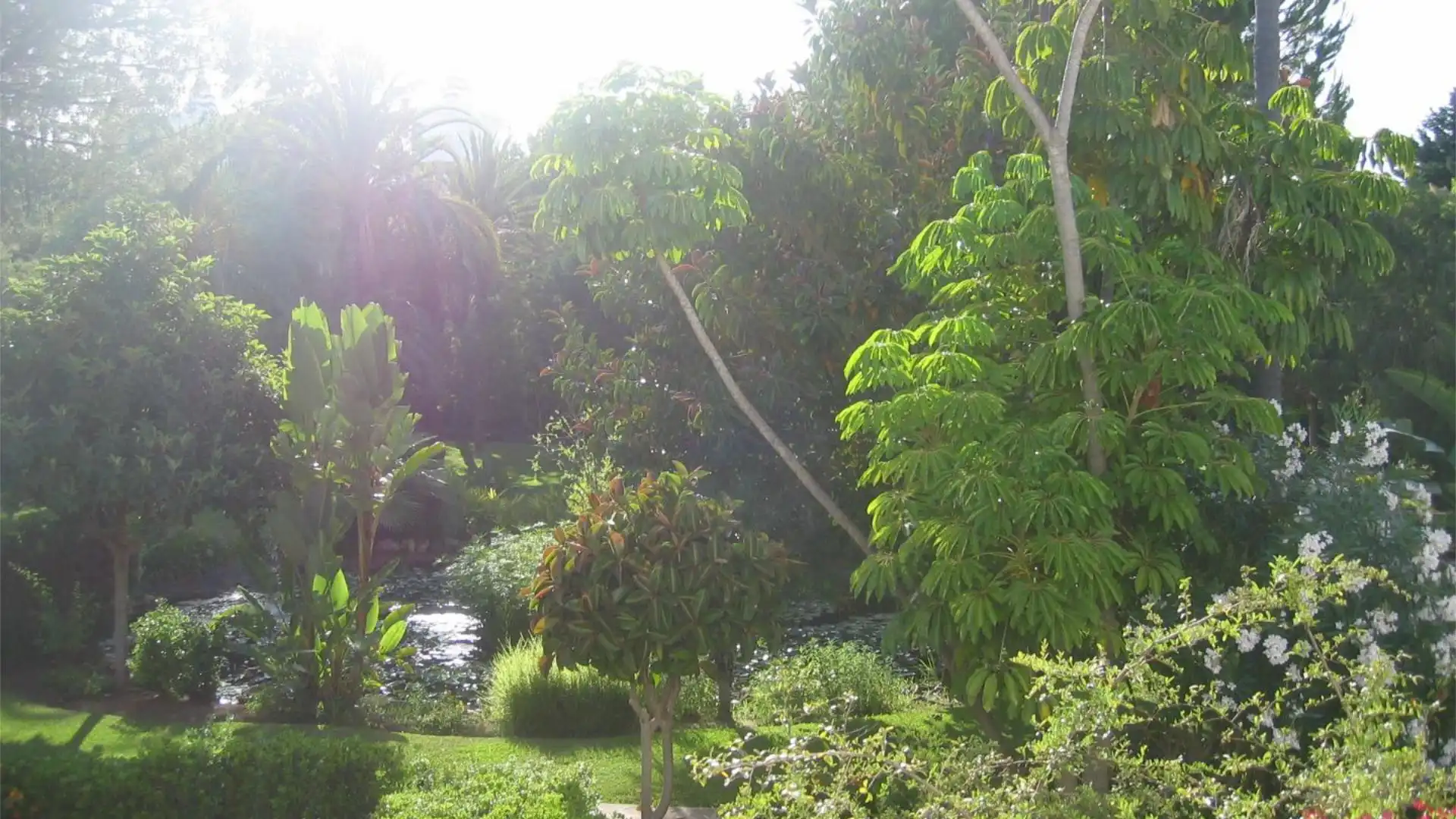 Piso en  Avenida de los Andaluces 40 - Foto 21