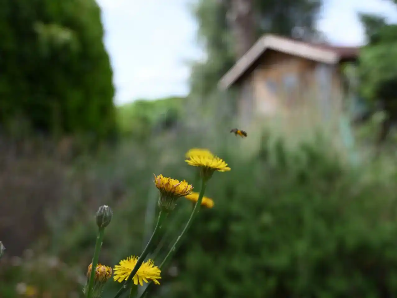 Chalet en Sant Antoni de Vilamajor - Foto 6