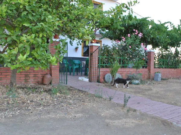 Casa rural en camino s/n - Foto 5