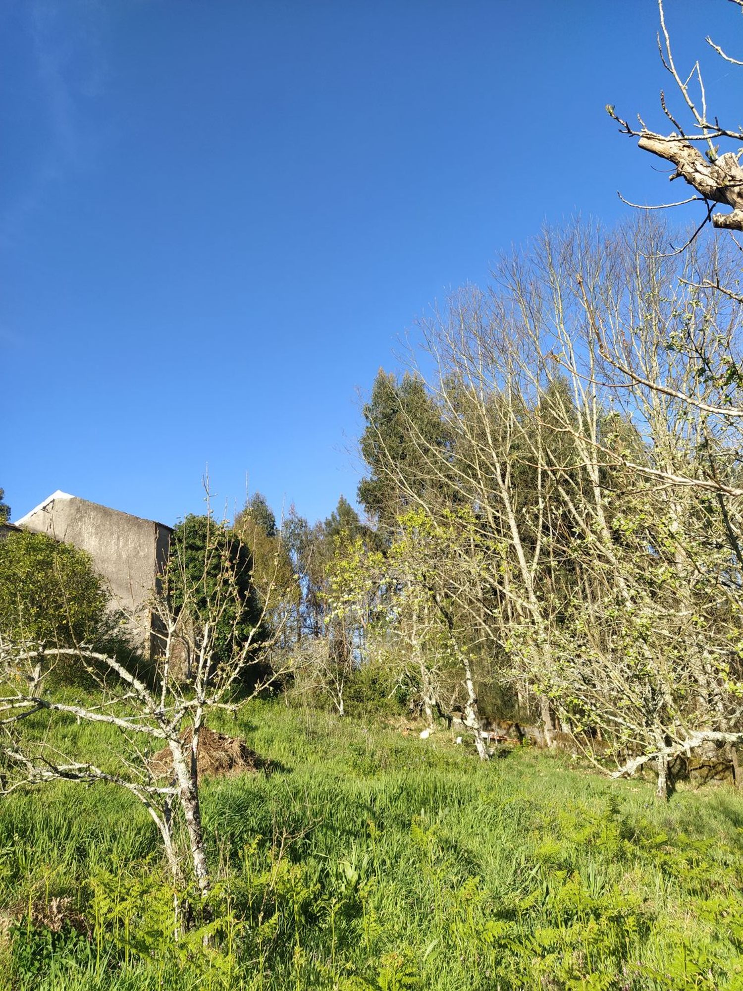 Casa rural en Senin, 6 - Foto 14
