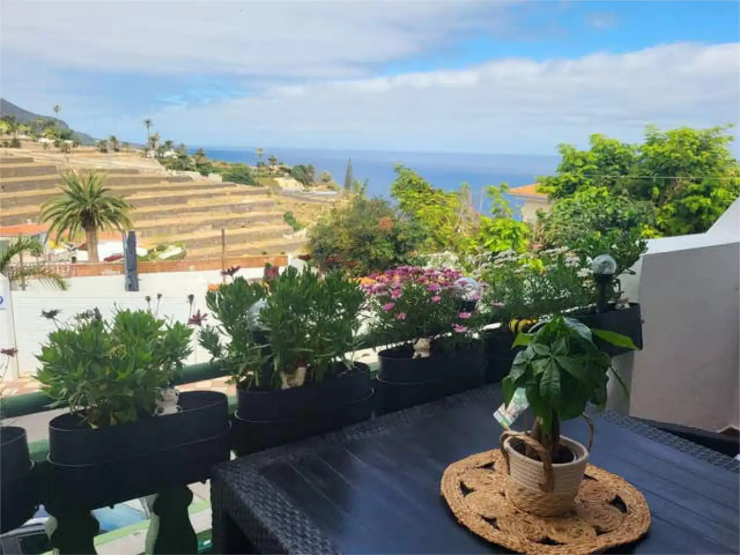 Apartamento en El toscal - Foto 9