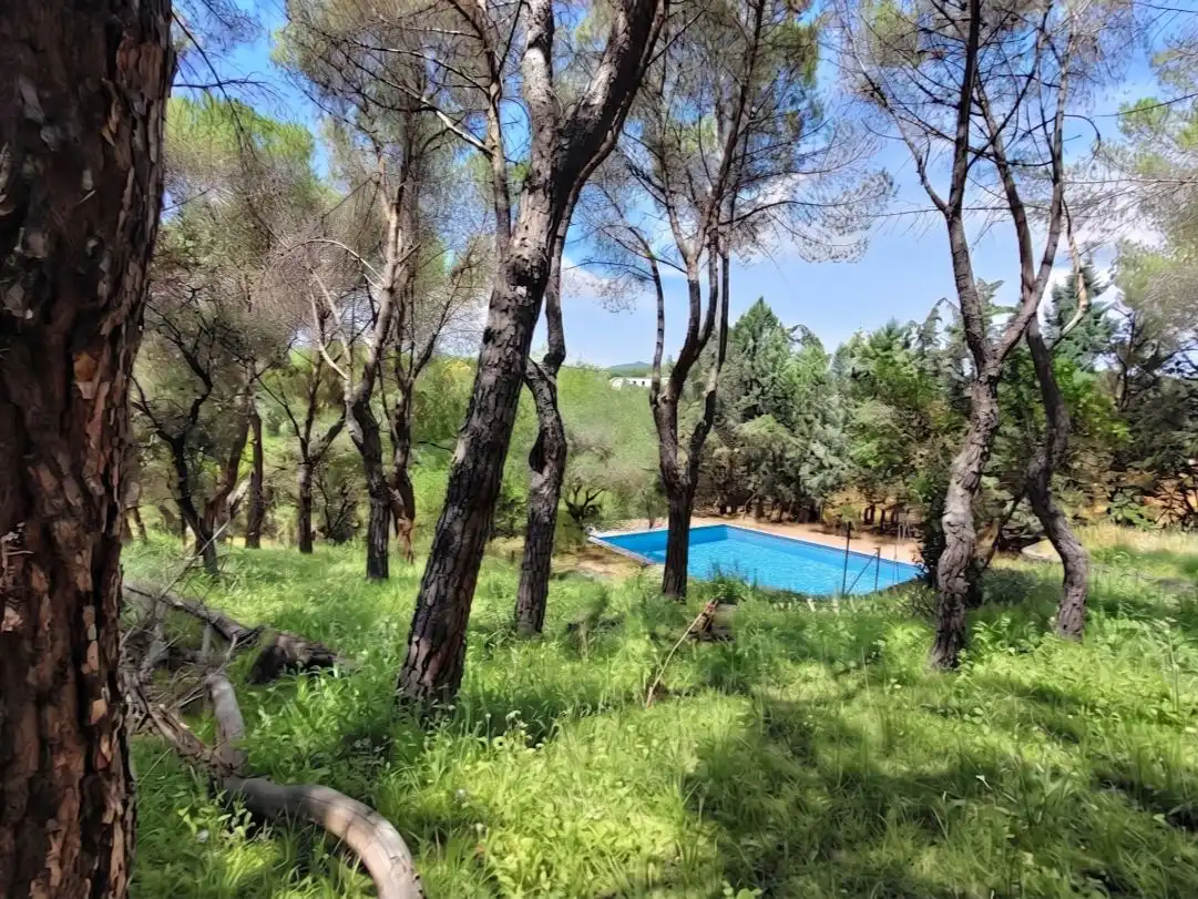 Chalet en Las Rozas de Madrid - Foto 27