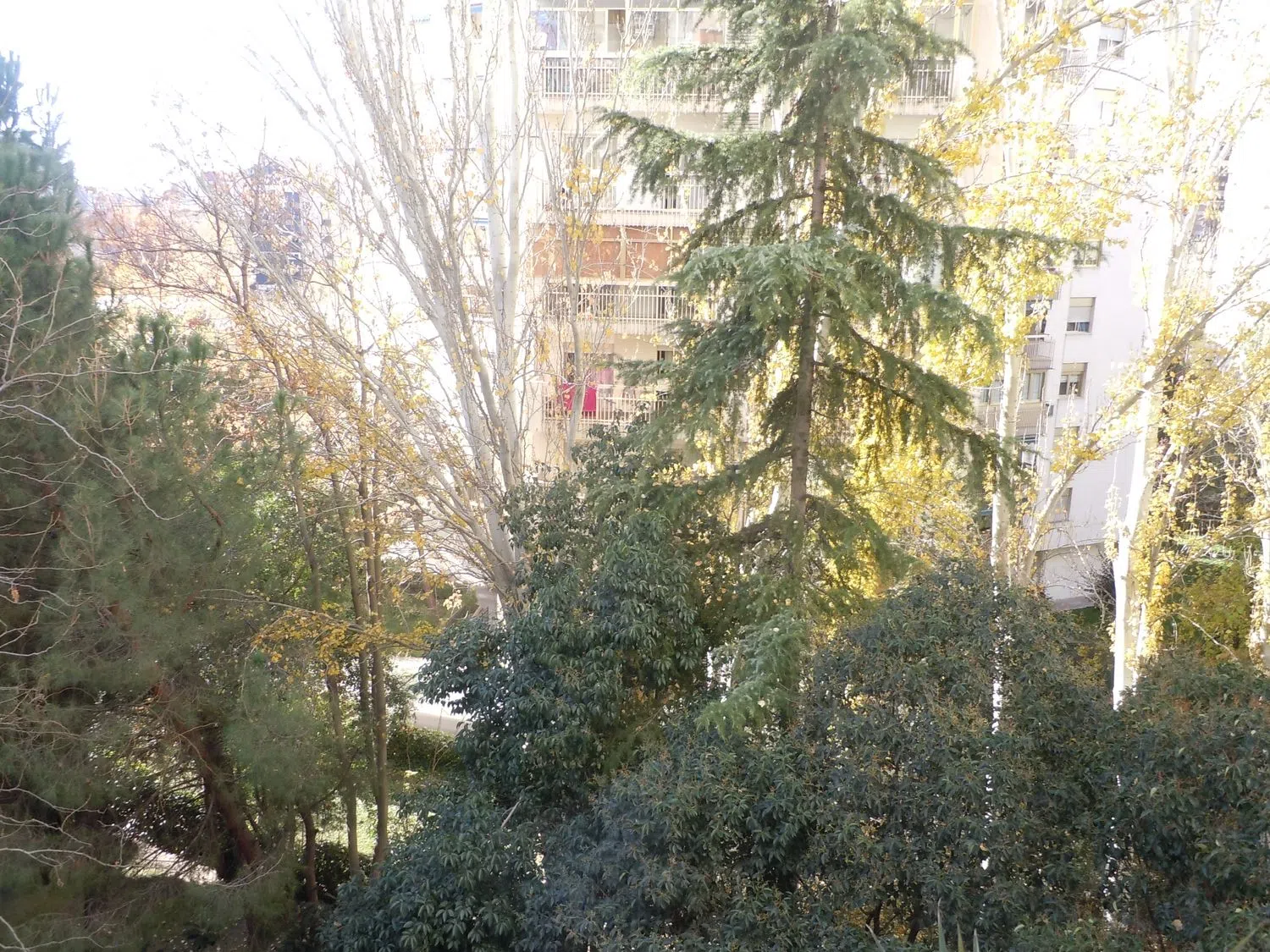 Piso en calle de Agastia, 17 - Foto 29