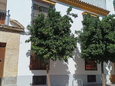 Casa adosada en  Plaza de Aguayos 1 - Foto 1