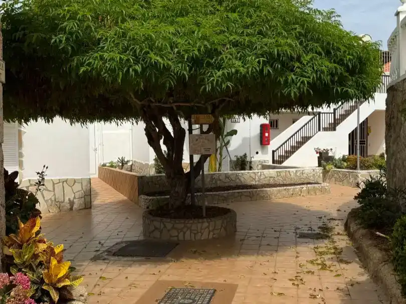 Piso en  Calle Víctor Zurita Soler 1 - Foto 17