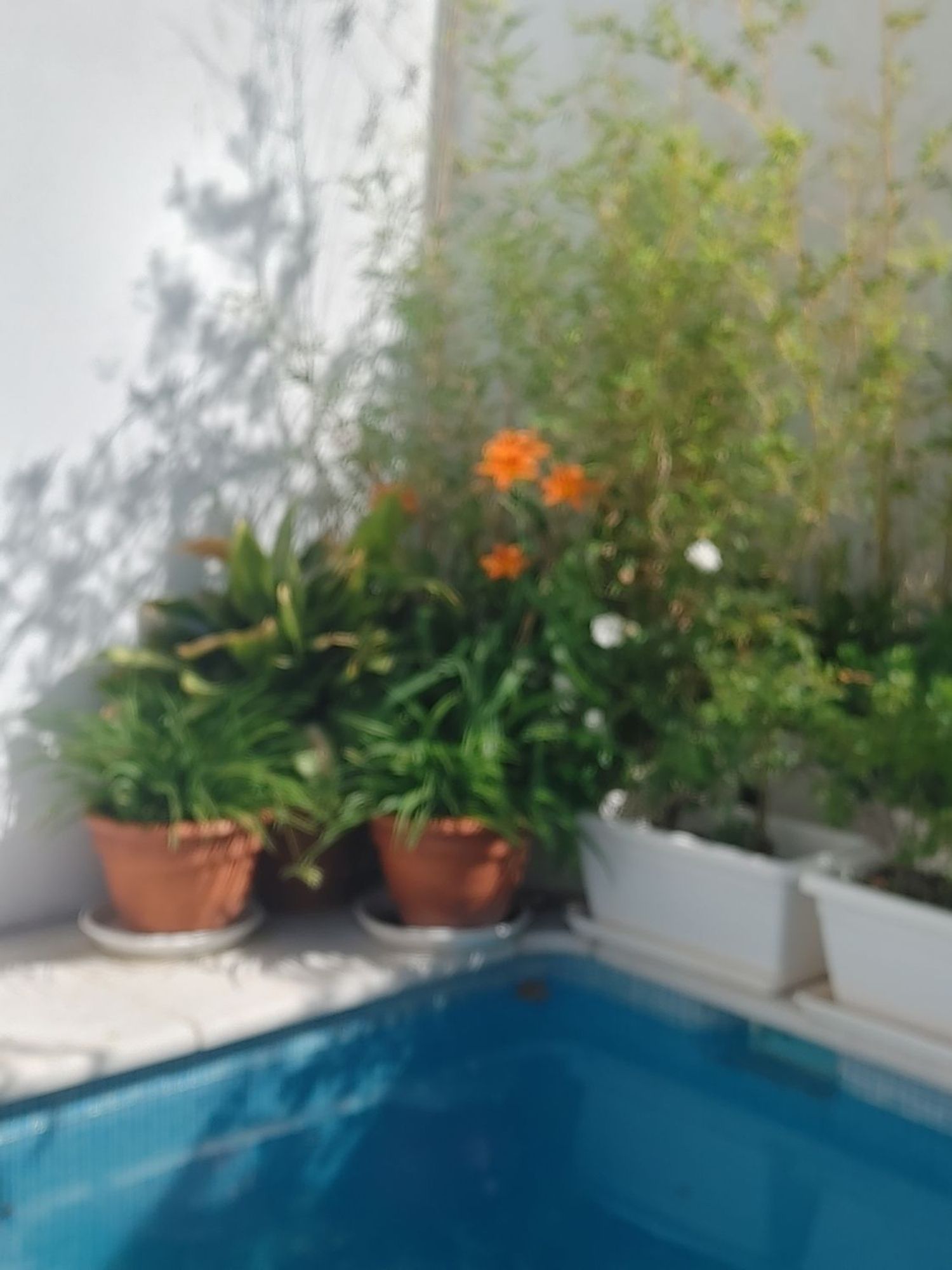 Chalet adosado en Calle Peña del Águila, 2 - Foto 2