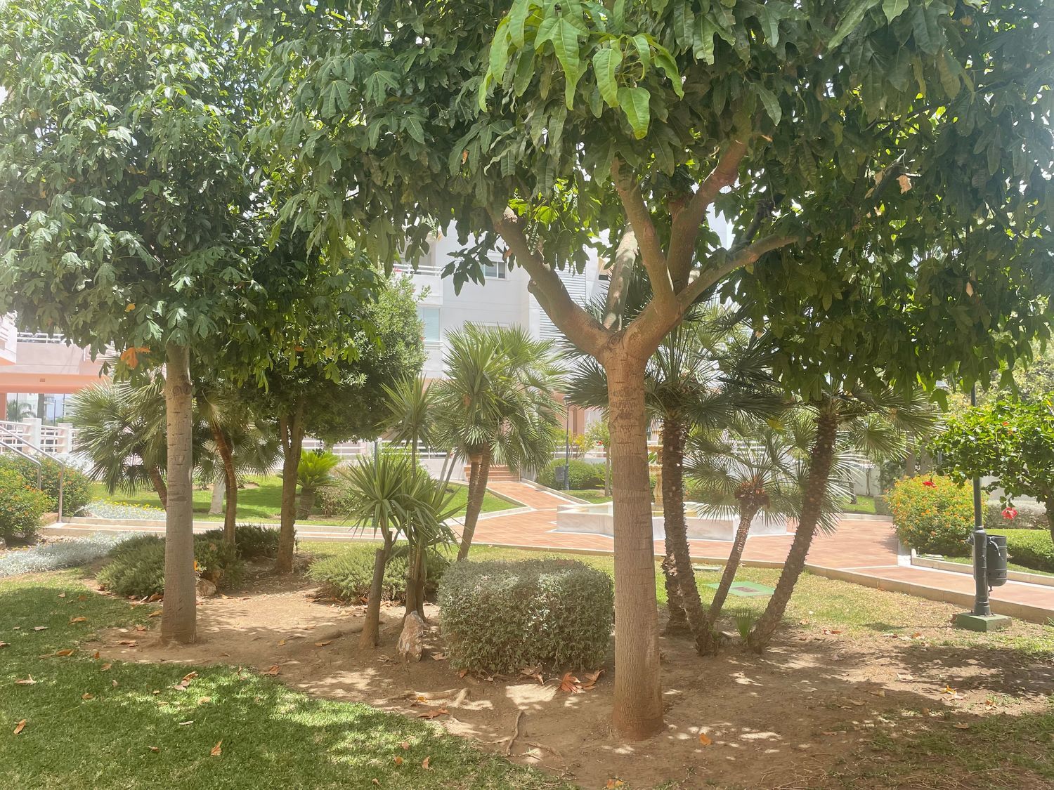 Piso en Avenida Marife de Triana, 2, Playamar - Benyamina - Foto 11