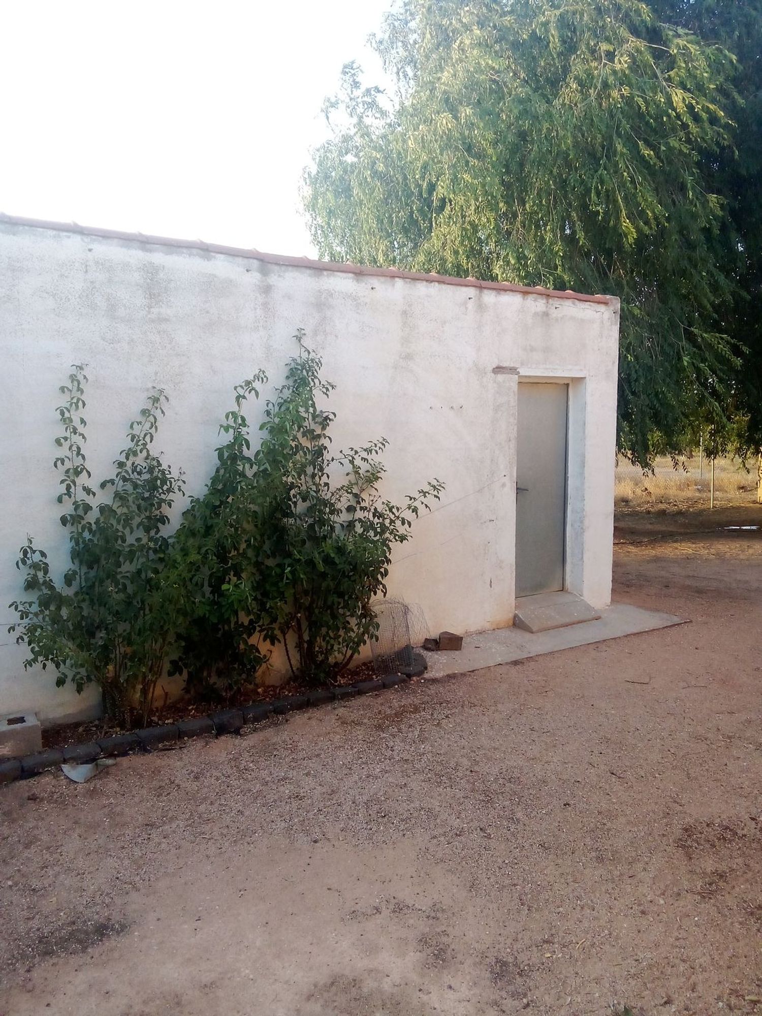 Finca rústica en Calle Diseminados, 5 - Foto 4