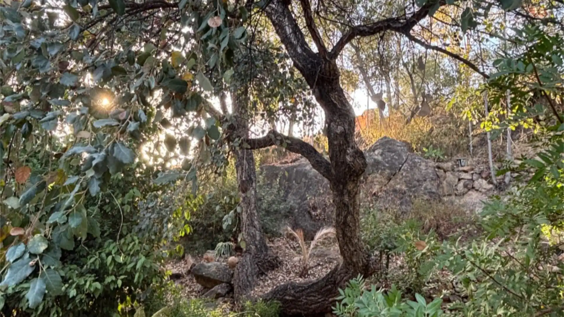 Chalet en  Calle de la Palmera 6 - Foto 8