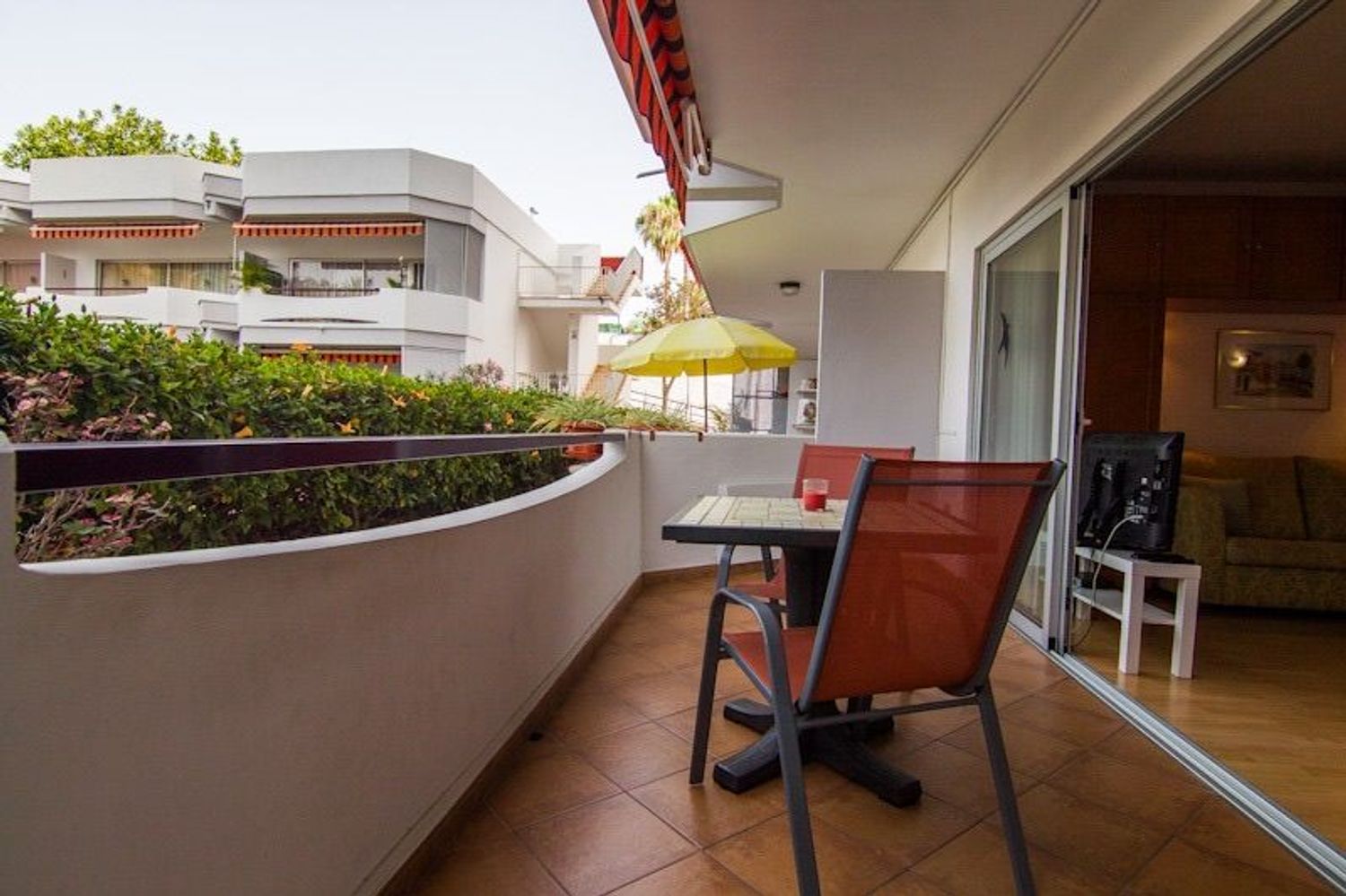 Estudio en Distrito Botánico - Foto 19