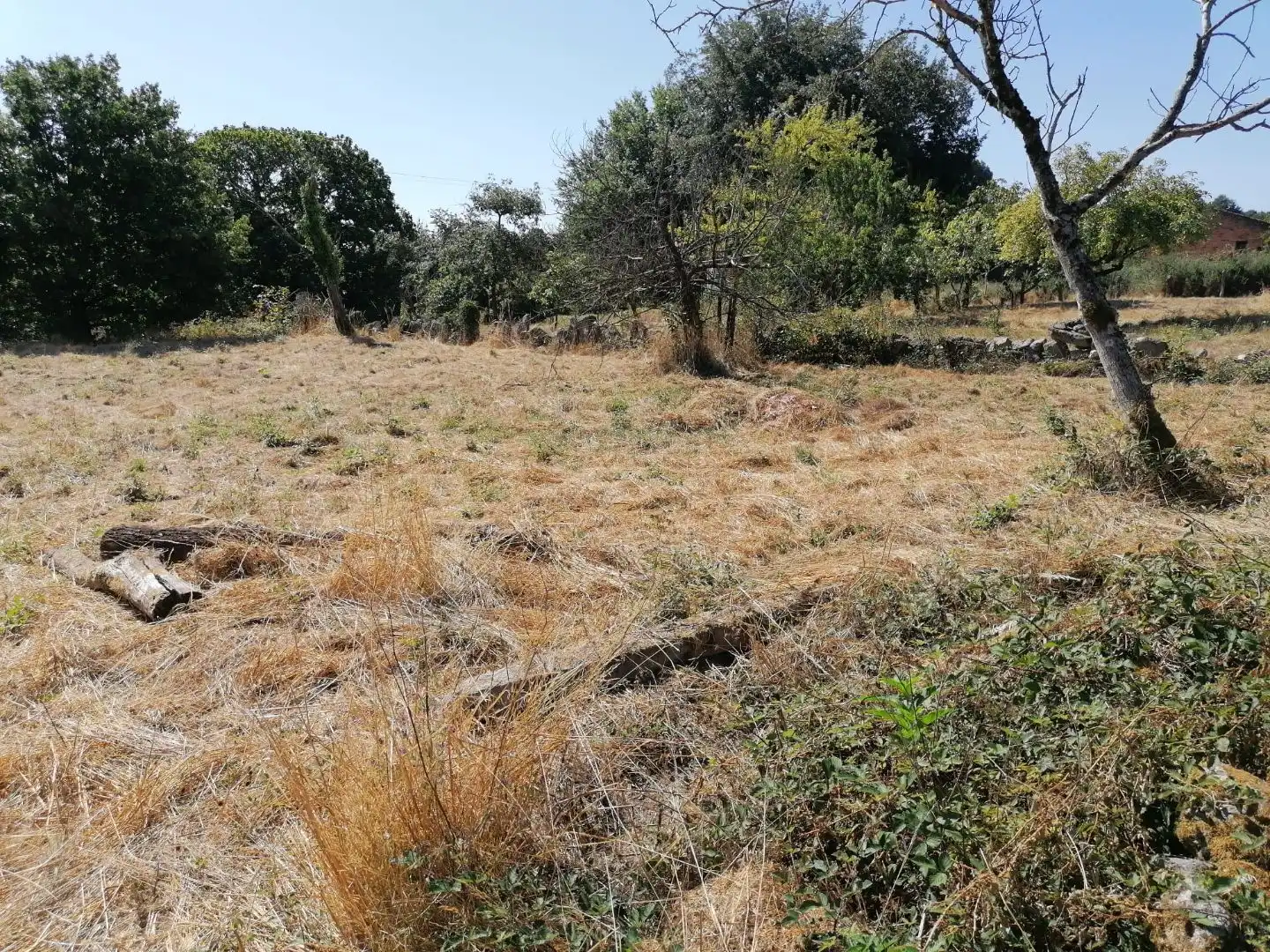 Chalet en San Amaro - Foto 23