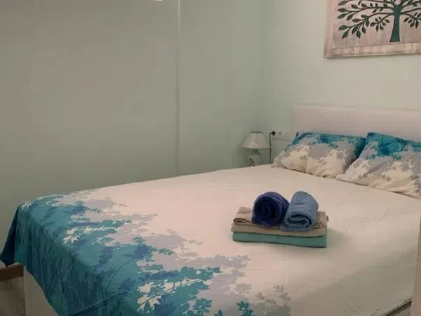 Piso en avenida Vicente Blasco Ibañez, 25 - Foto 6