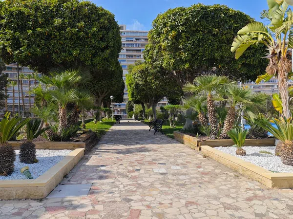 Piso en Avenida Benidorm, 18, Playa de San Juan - Foto 19