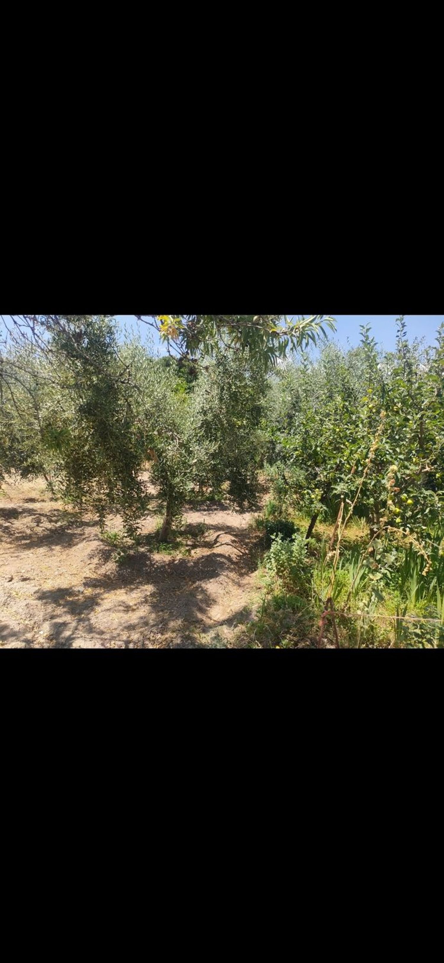 Casa de pueblo en Camino Cadiar Narila, 2 - Foto 2