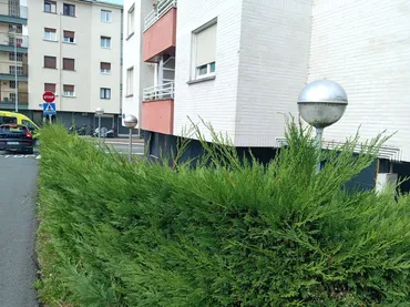 Piso en  Herrera Pasealekua 49 - Foto 7