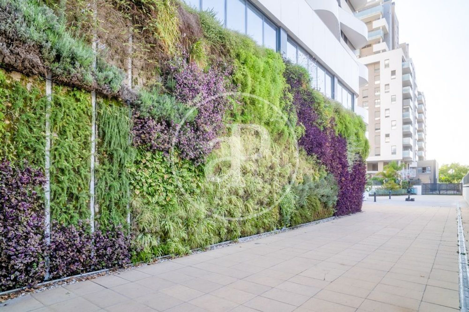 Ático en Calle d'Antonio Ferrandis, Ciutat de les Arts i de les Ciencies - Foto 49