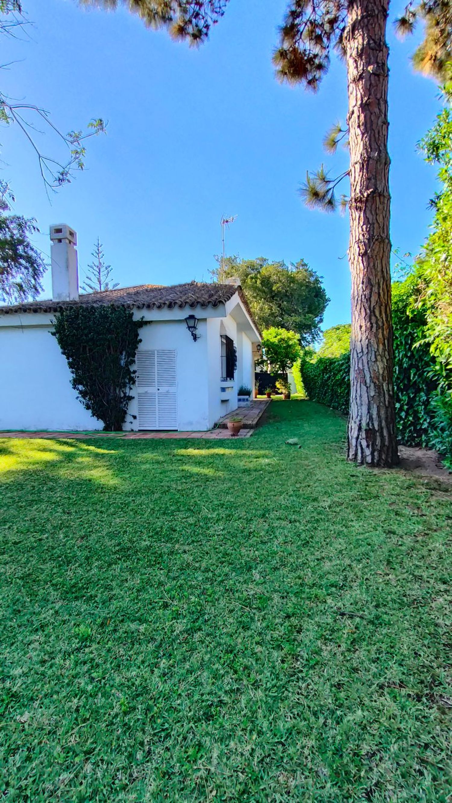 Casa o chalet independiente en Calle Abeto, 18, Vistahermosa - Foto 15
