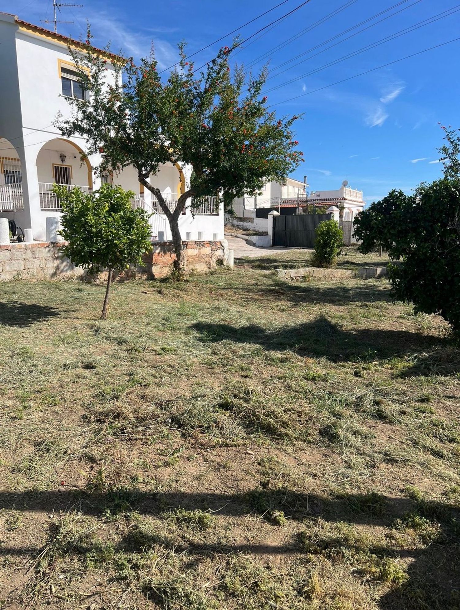 Casa o chalet independiente en Camino de la Sierra, 30, Cortijo de Maza-Finca Monsalvez-El Olivar - Foto 15