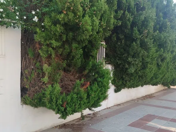 Chalet adosado en Avenida de la Font, 36, Can Nicolau - Les Sorres - Valparaiso, Can Nicolau - Les Sorres - Valparaiso - Foto 3