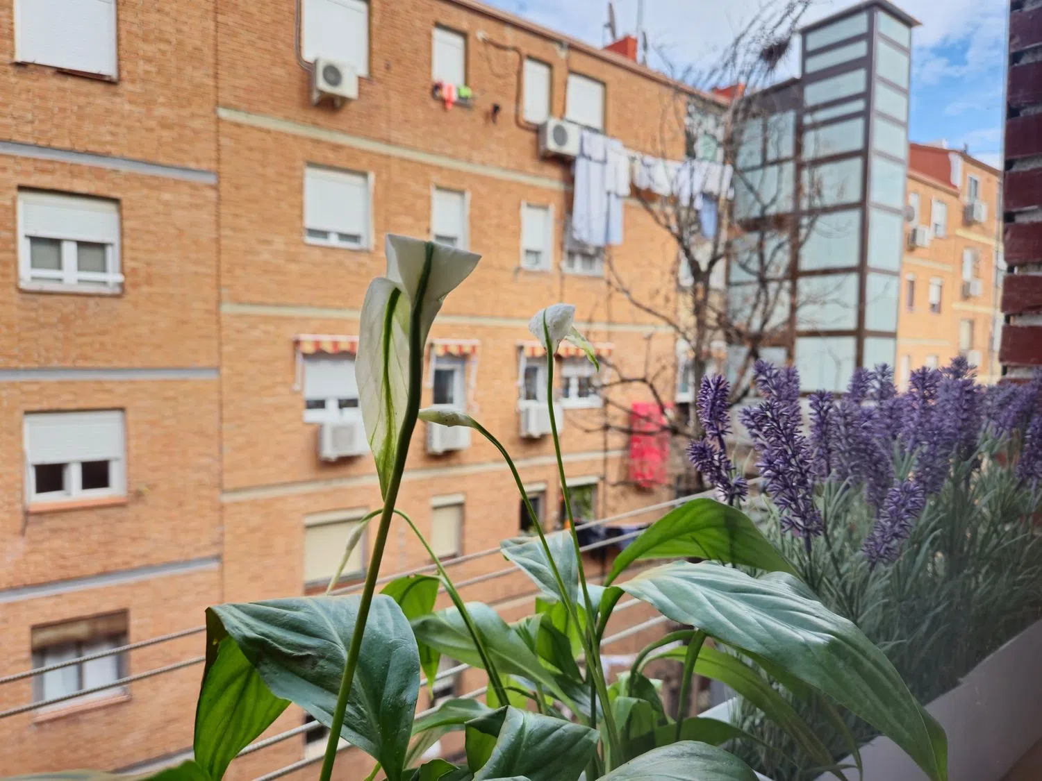 Piso en calle de Venancio Martín, 25 - Foto 10