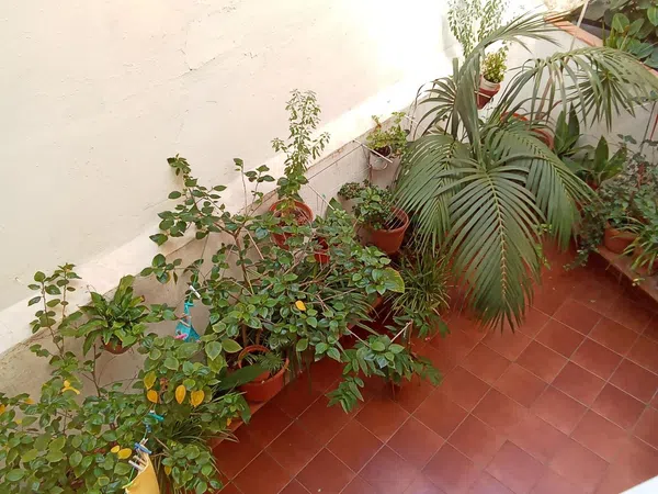 Piso en avenida del Masnou, 64 - Foto 10