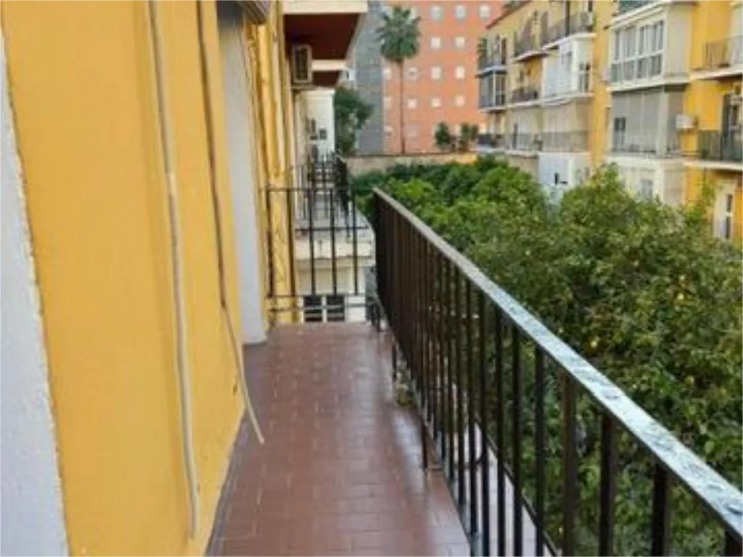 Piso en  Calle Mejorana 11