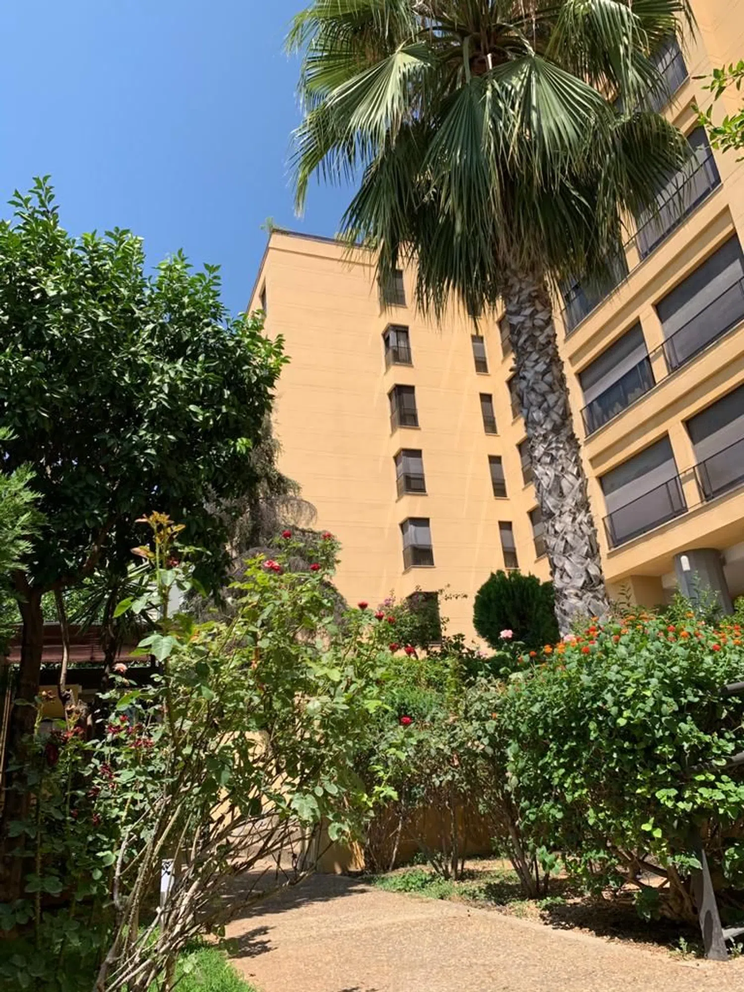 Piso en calle Barrau, 9 - Foto 1