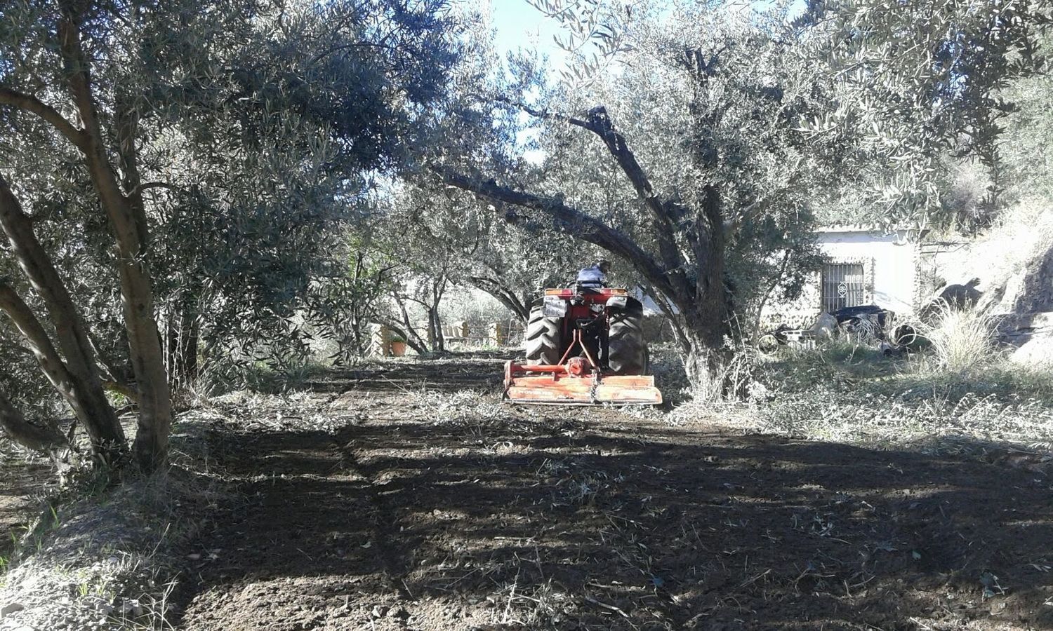 Finca rústica en Calle a, 1 - Foto 21