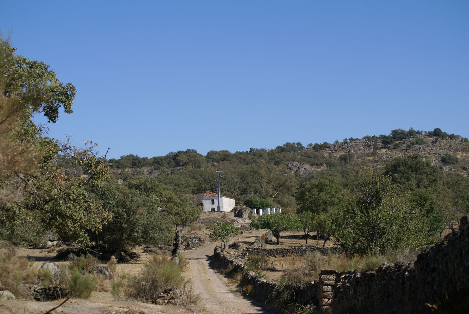 Finca rústica en N-521 s/n - Foto 13