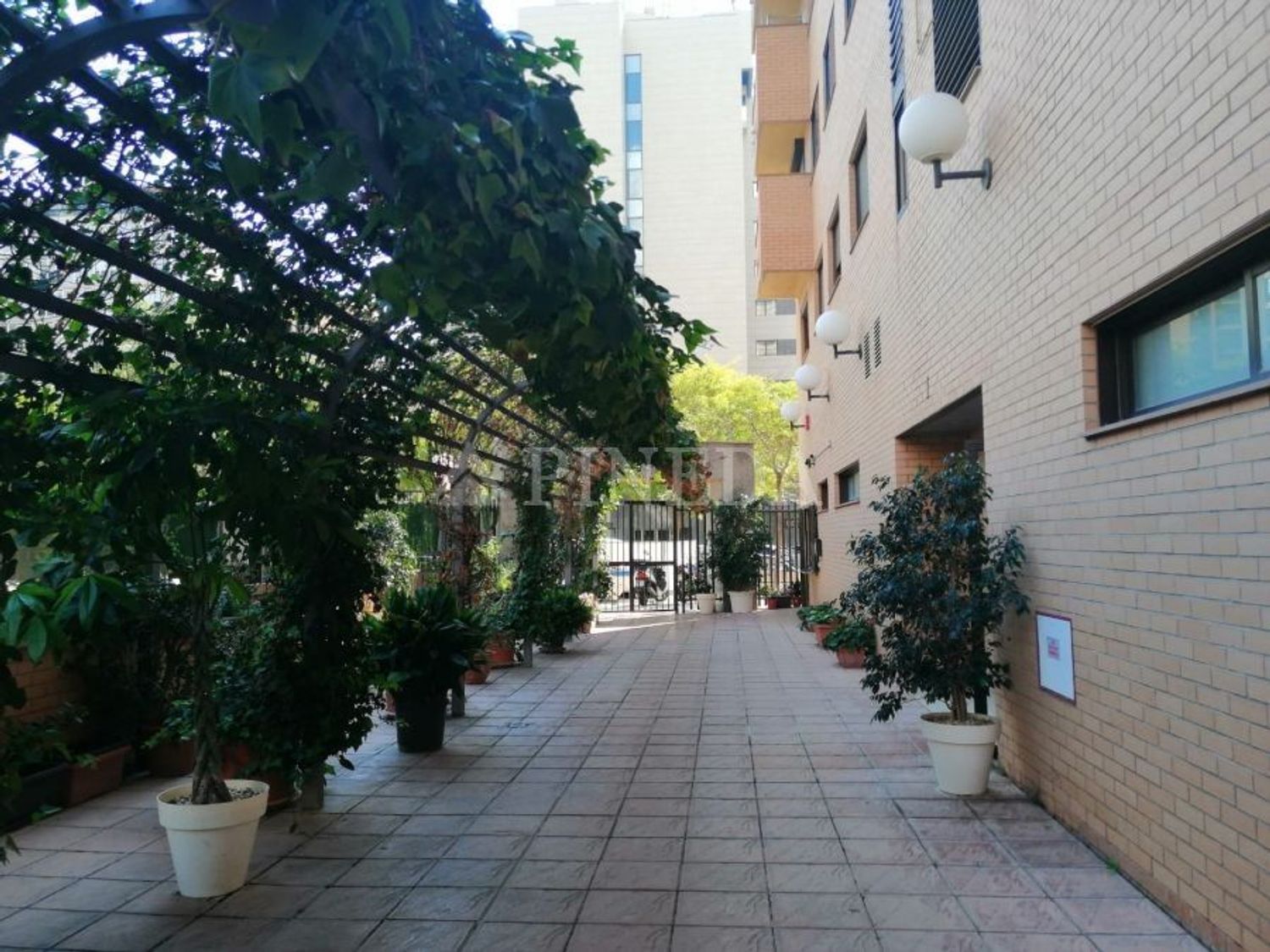 Piso en Calle del Pintor Maella, Penya-Roja - Foto 16