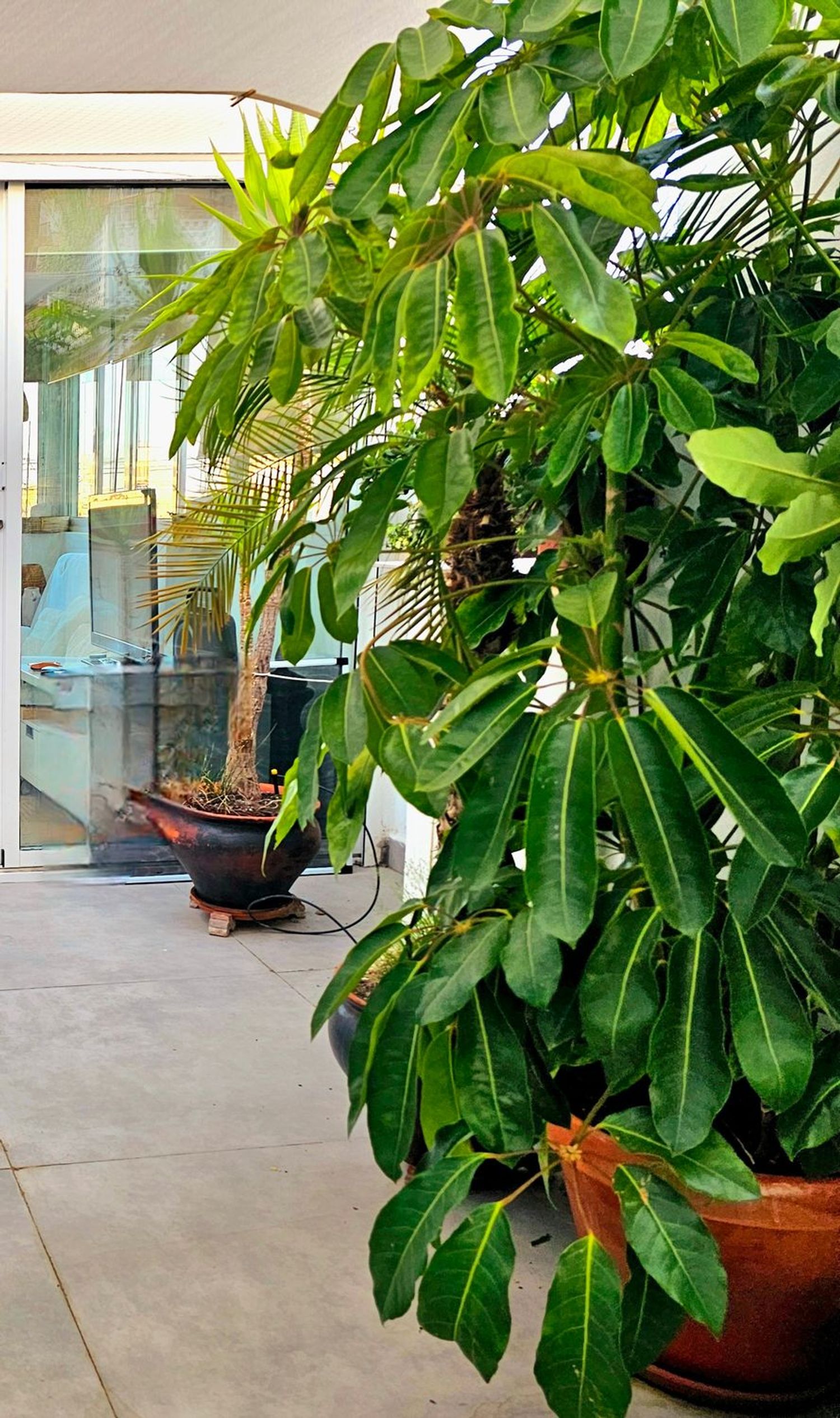 Ático en calle Alcala, 2 - Foto 10