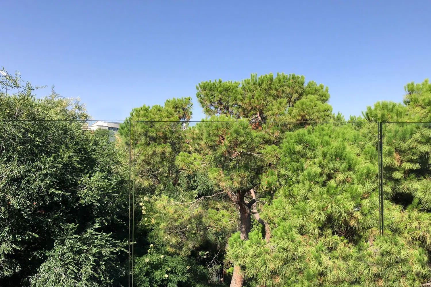 Ático en avenida de Portugal, 39 - Foto 7