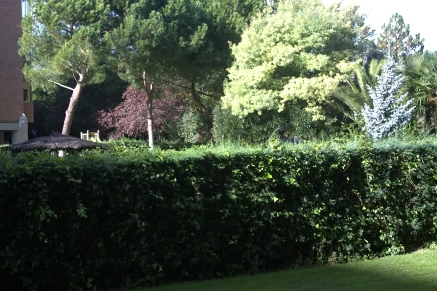 Piso en calle Alfredo Marquerie, 8 - Foto 3