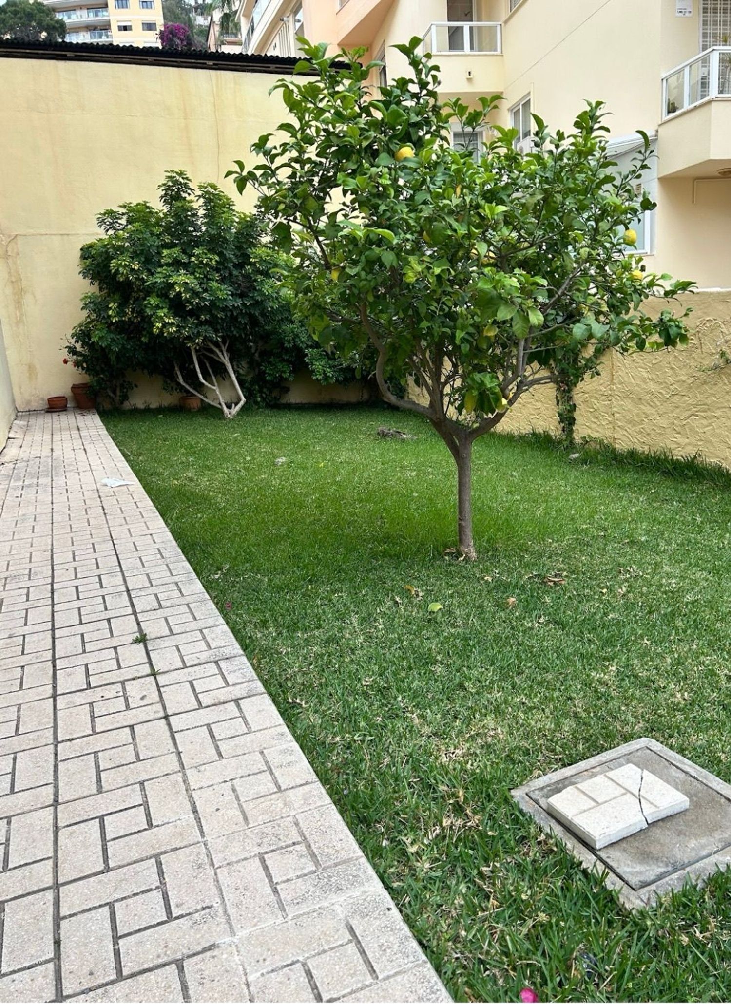 Piso en Paseo de Sancha, 12, Malagueta - Monte Sancha - Foto 20