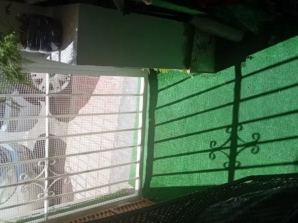 Local en Avenida Foietes, 3502, Pueblo Poniente, Pueblo Poniente - Foto 5