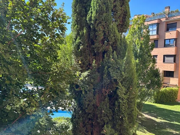 Piso en Avenida Monasterio de Silos, 82, Montecarmelo - Foto 3