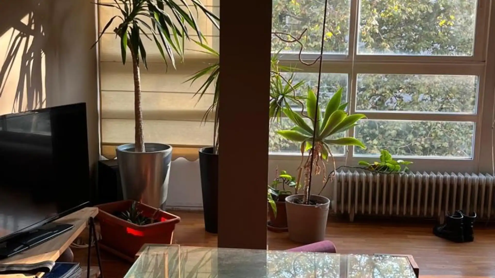 Piso en  Rúa Daniel Castelao 3 - Foto 16