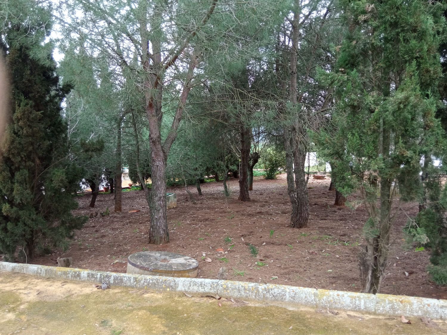 Finca rústica en Callejón del Antiguo Almacén (Prior), 1 - Foto 15
