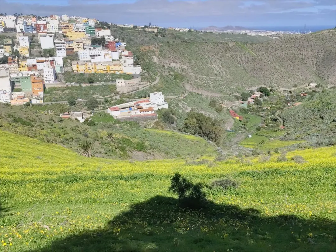 Casa adosada en  Calle Francisco de La Torre 31 - Foto 49