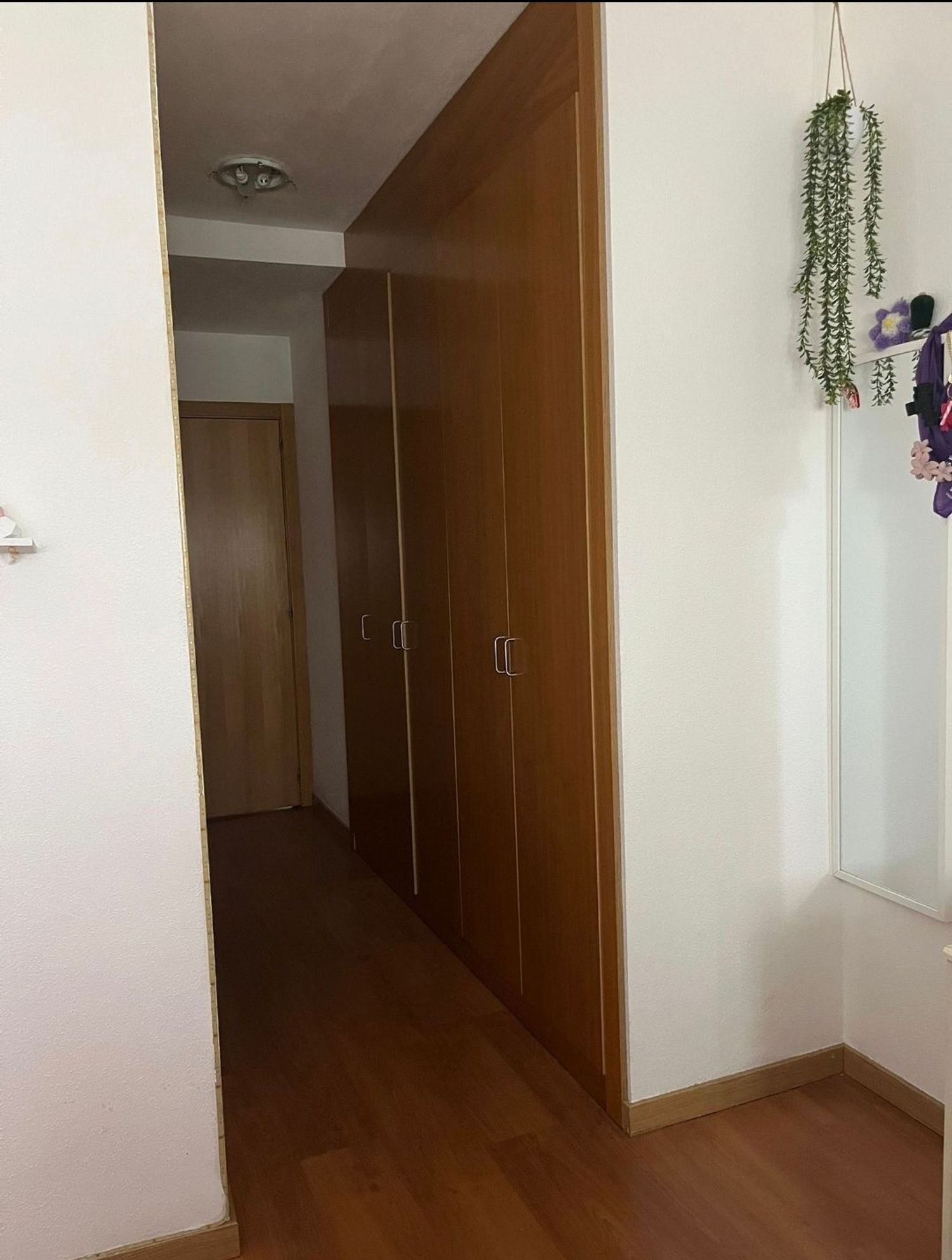 Piso en Calle de Perseo, 43, Sur, Sur - Foto 5