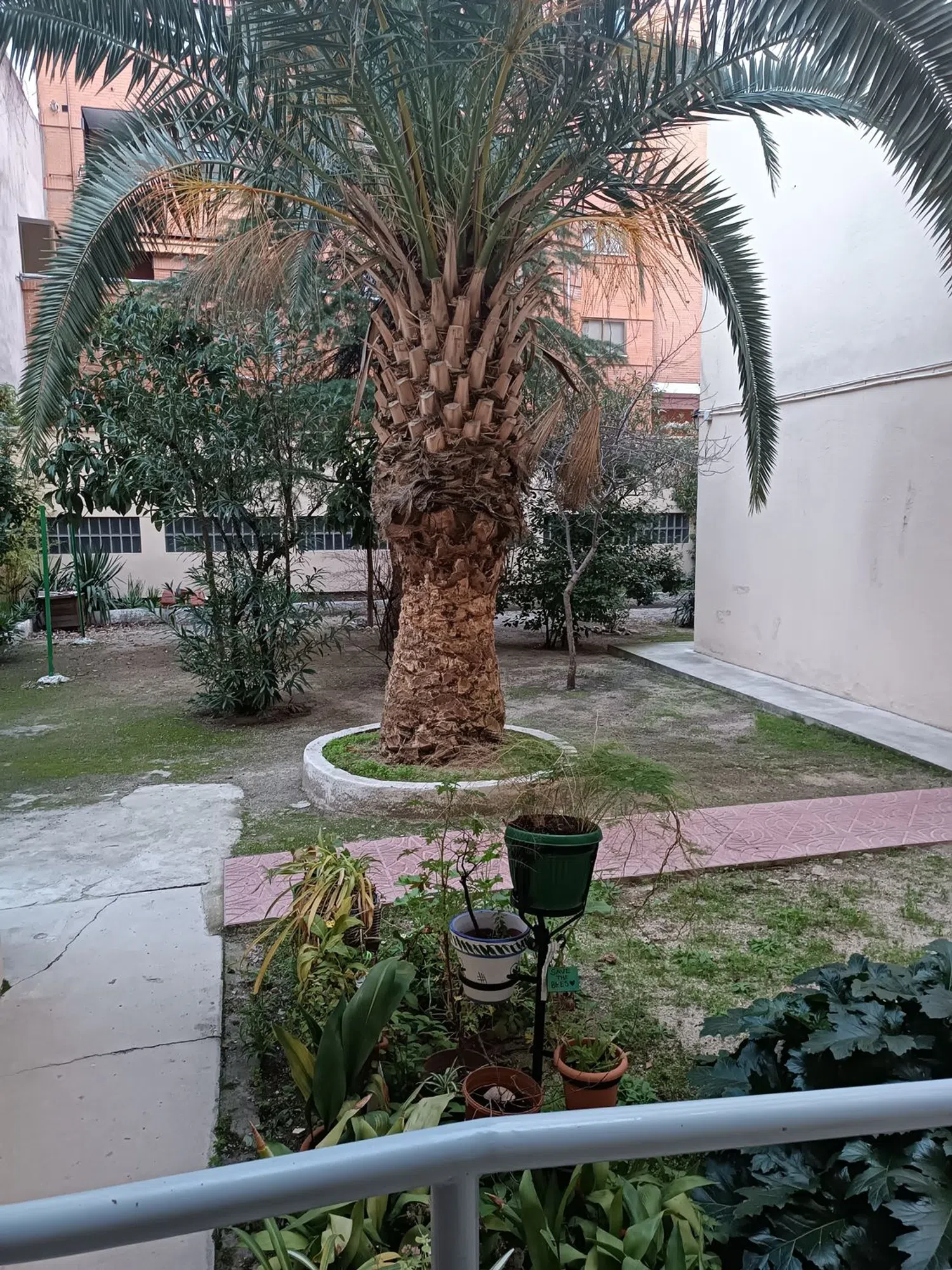 Piso en calle de Azcona, 3 - Foto 6