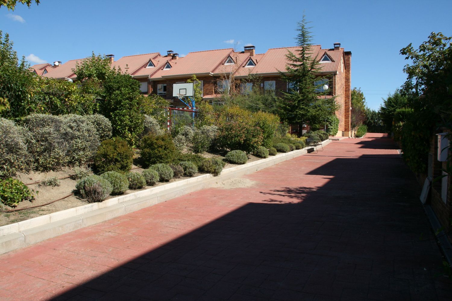 Chalet adosado en Calle Ciudadela, 43, El Pinar- Punta Galea - Foto 3