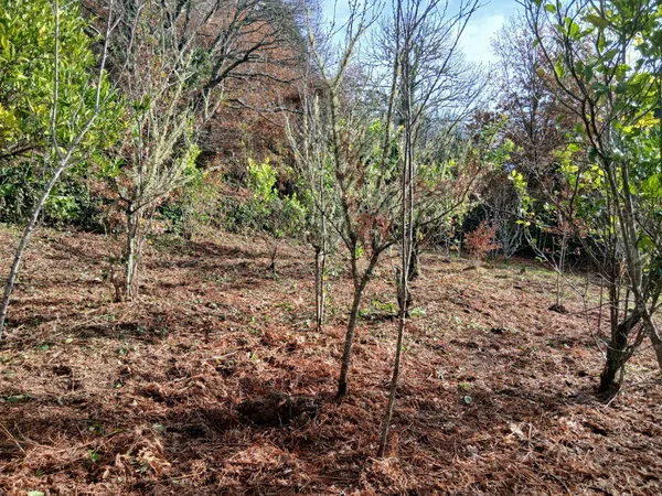 Casa de pueblo en a Sorreira, 148 - Foto 4