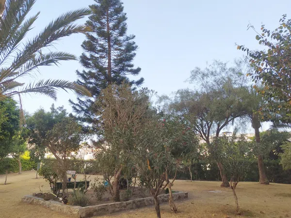 Estudio en Calle Hermanos Álvarez Quintero, 5, La Cala del Moral, La Cala del Moral - Foto 14