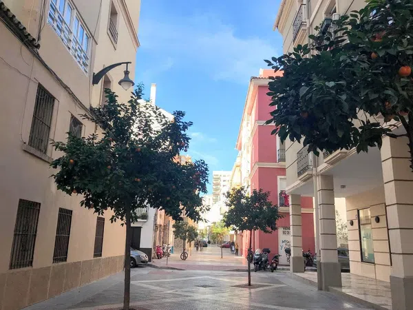 Piso en Calle Ancha del Carmen, 6 -8, Perchel sur - El Bulto - Foto 8