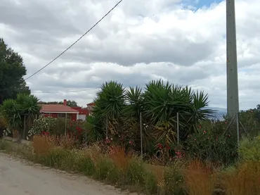 Finca rústica en  Calle Montalbán 331 - Foto 1