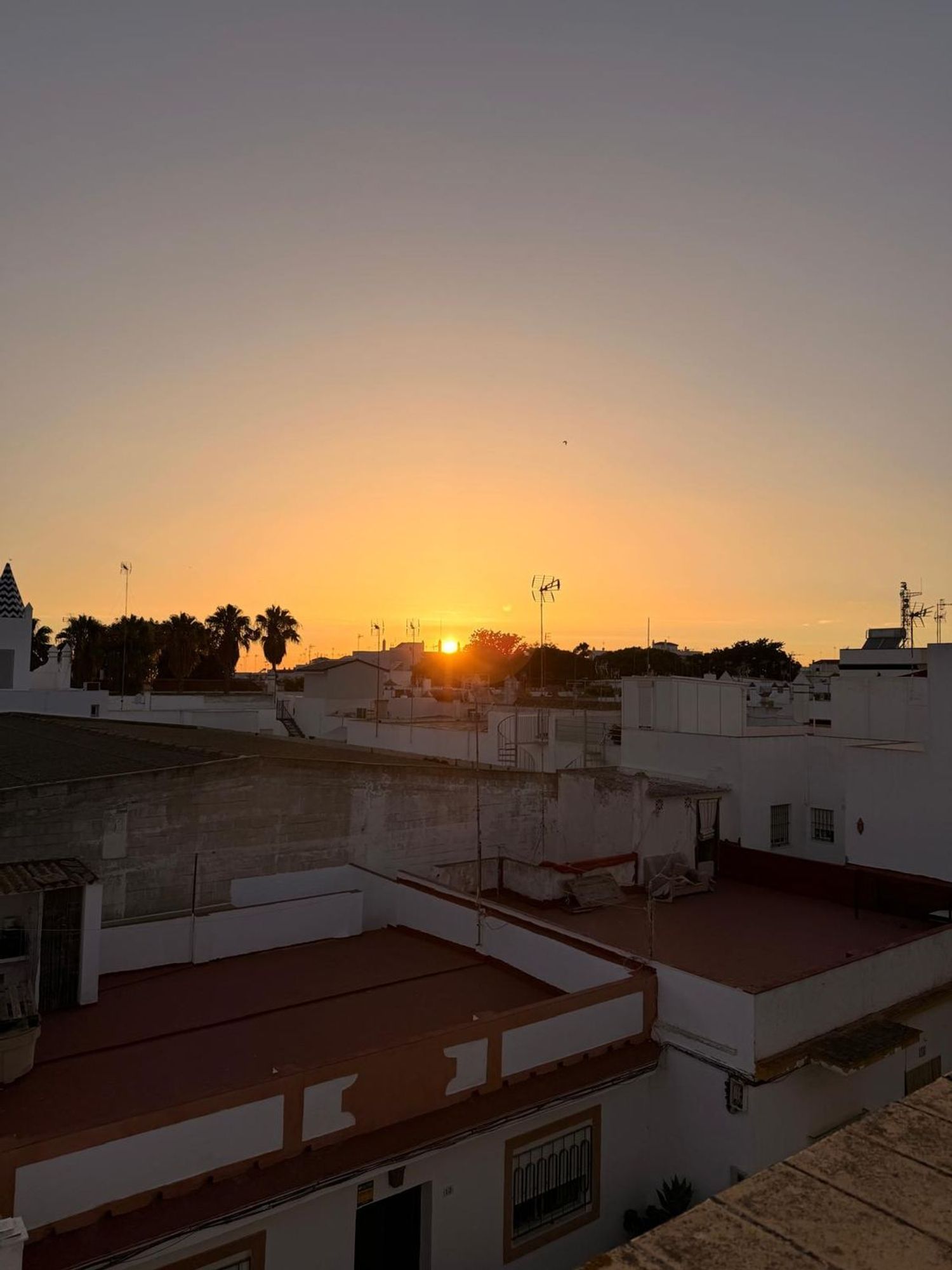 Casa o chalet independiente en Calle Río Guadalquivir, 14, Puerto Deportivo, Puerto Deportivo - Foto 4