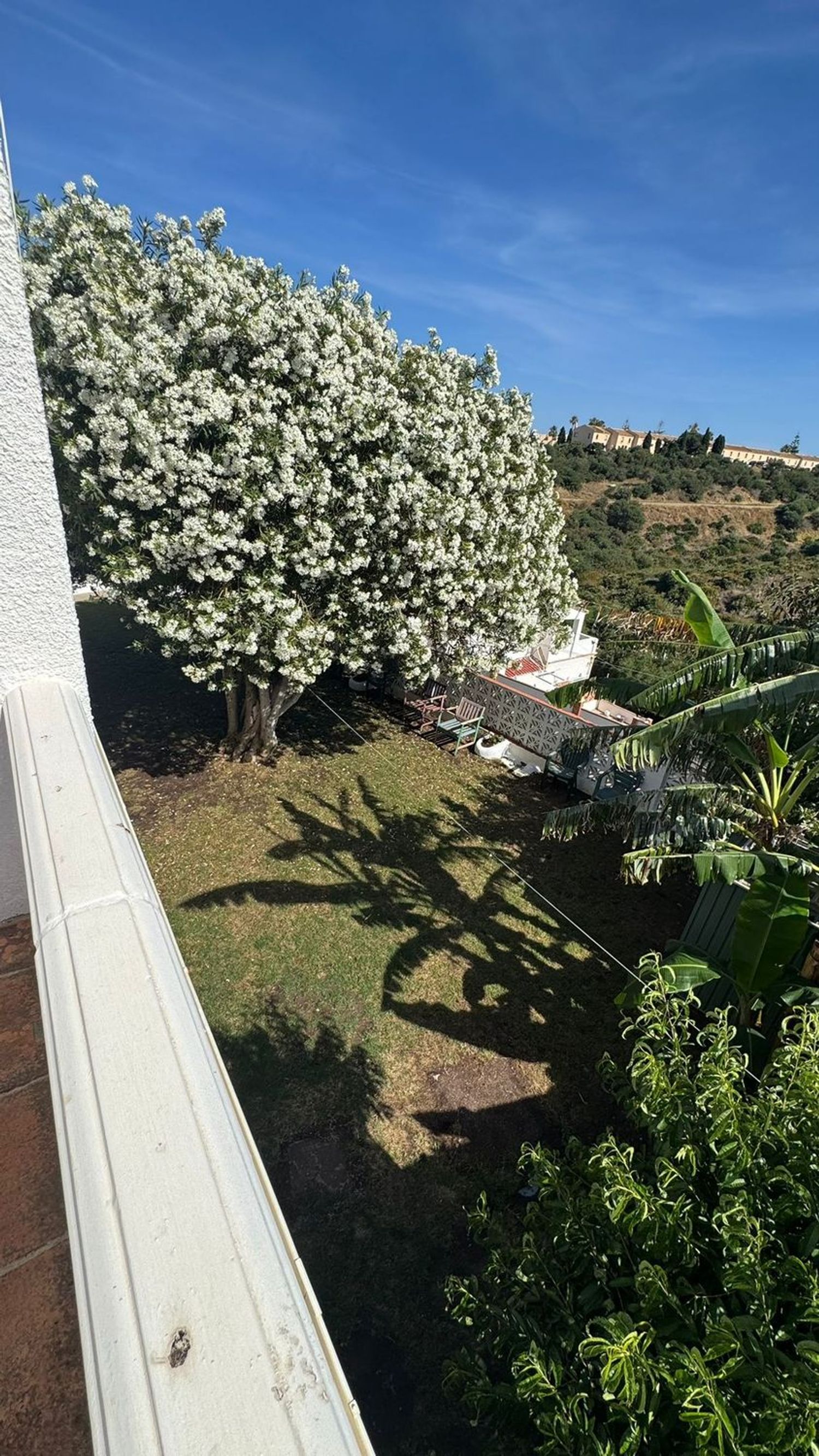 Casa o chalet independiente en Calle Jineta-Chaparral, 41, Calaburra - Chaparral - Foto 10
